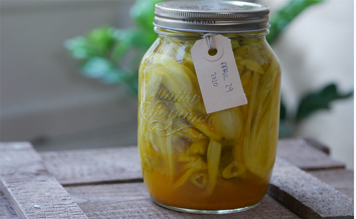  Pickled Fennel