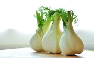 Fennel