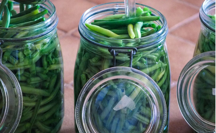  Green Bean Preserve